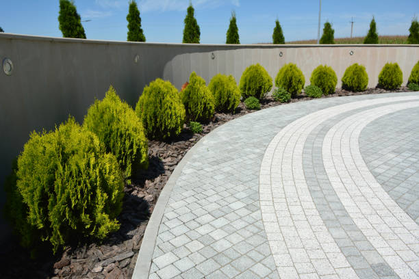 Best Local Driveway Pavers  in Lake Alfred, FL